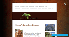 Desktop Screenshot of guidolio.ch